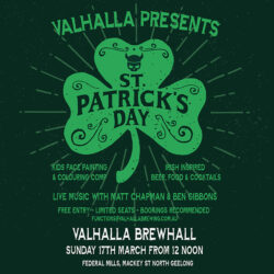 st pats day 2024 poster